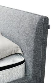 Bed C555
